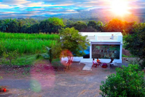 Lion's Safari Farm & Resort